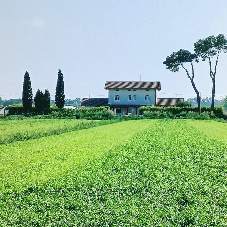 לינה וארוחת בוקר פסטום La Ricarda Dimora Di Campagna מראה חיצוני תמונה