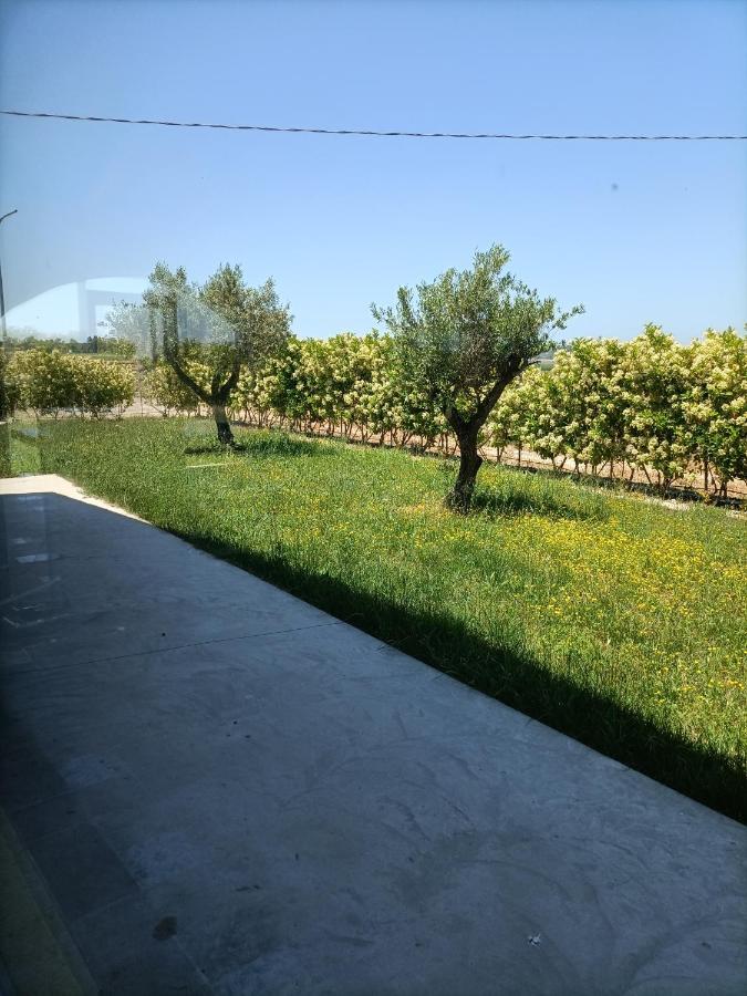 לינה וארוחת בוקר פסטום La Ricarda Dimora Di Campagna מראה חיצוני תמונה