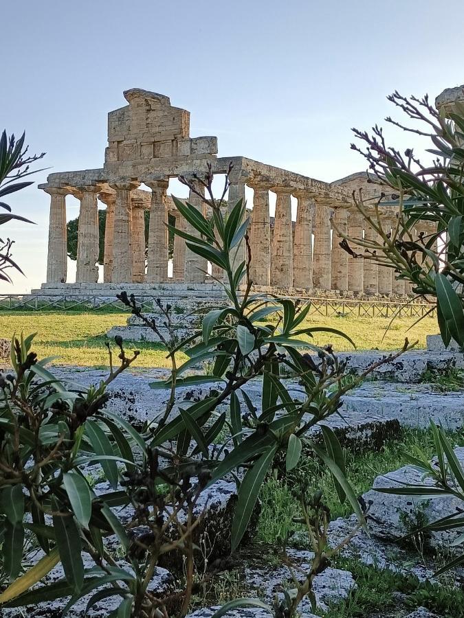 לינה וארוחת בוקר פסטום La Ricarda Dimora Di Campagna מראה חיצוני תמונה